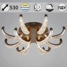 Потолочная люстра Reluce 60390-0.3-8+4 FG