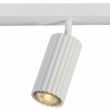 Спот Moderli Cora V11776-3C