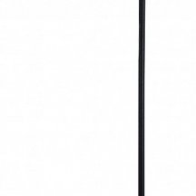 Торшер Lussole Amador LSP-0918