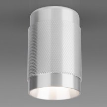 Потолочный светильник Elektrostandard Tony DLN109 GU10 серебро 4690389148682 из Германии