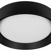 Потолочный светильник Coin 10202 BB