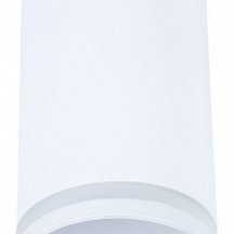 Потолочный светильник Arte Lamp Imai A2266PL-1WH