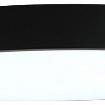 Потолочный светильник Zortes Tortty ZRS.02563.96