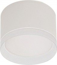 Потолочный светильник Reluce 53004-9.5-001LD GX53 WT