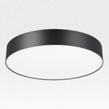 Потолочный светильник Citilux Bart CL755391