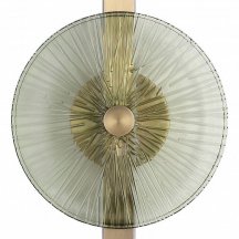 Накладной светильник ST-Luce WASI SL6141.321.01