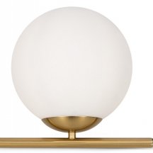 Интерьерная настольная лампа Freya Blossom FR5259TL-01BS