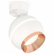 Потолочный светильник в гостиную Ambrella light  xM1101005