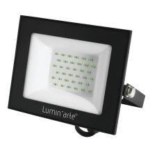 Прожектор уличный Luminarte LFL-50W/07