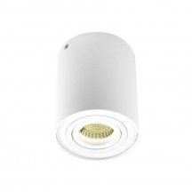 Точечный светильник DL18613/01WW- R White