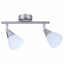 Спот Toplight  TL1232Y-02SN