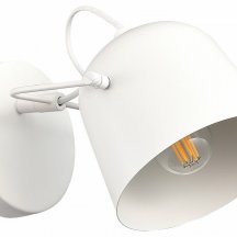 Настенный светильник Evoluce SLE1805-501-01