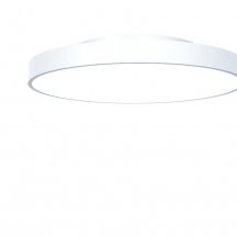 Потолочный светильник NX DL-BROC-6004834-WH-NN