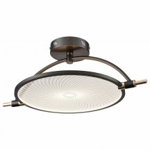 Потолочный светодиодный светильник Wertmark Laura WE430.02.027