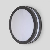 Потолочный светильник Oasis Light уличный SIDNEY 3362 Gr