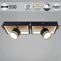 Потолочная люстра Reluce 19560-0.3-2+2 BK+WOOD