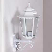 Уличный светильник лофт Oasis_Light  79801M/02 W