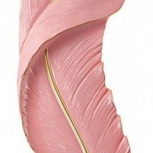 Бра AM-268101 269101/D180/H880/27W/3K Pk