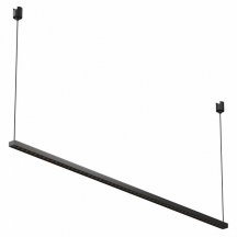 Трековый светильник Maytoni Points TR169-1-52W3K-M-B