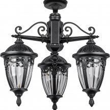 Потолочный светильник уличный Oasis Light FES 86370A 3 02 Bl