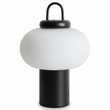 Интерьерная настольная лампа Freya Take FR6175TL-L10B