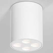 Потолочный светильник Elektrostandard 25111/LED a067483