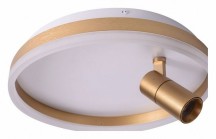 Потолочный светильник Zortes Raizy ZRS.1888.04