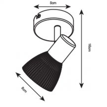 Настенно-потолочный светильник Arte Lamp Parry A5062AP-1AB