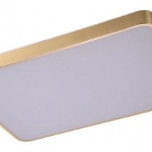 Потолочный светильник Zortes Monna ZRS.1209.09