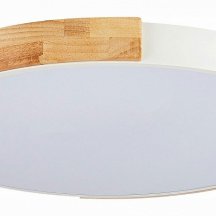 Потолочный светильник Evoluce Delia SLE201352-01