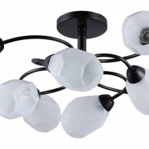 Потолочная люстра Rivoli Gloria 9089-308