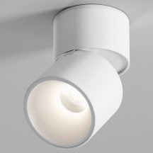 Потолочный светильник Elektrostandard 25112/LED a067487