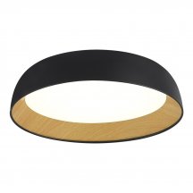 Потолочный светильник Muse SLE1812-402-01