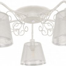 Потолочная люстра Arte Milano AM341120 341120/5 WT+SL