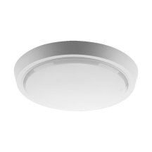 Настенно-потолочный светильник  DBO01-25-4K