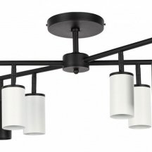 Потолочная люстра Lightstar Rullo LR728374364