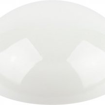 Настенно-потолочный светильник ЭРА ДБП 06-12-012