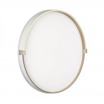 Настенно-потолочный светильник Sonex Olidi White 7646/ELN