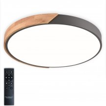 Потолочный светильник Scandinavian LED LAMPS 81183