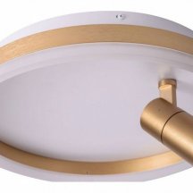 Потолочный светильник Raizy ZRS.1888.04 Потолочный светильник Raizy ZRS.1888.04