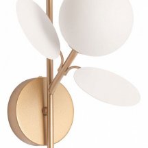 Бра Arte Lamp Peacock A1369AP-1SG