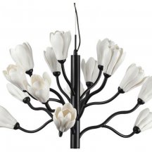 Подвесная люстра Odeon Light Gardi 5090/15