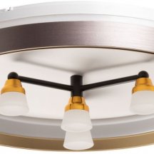 Потолочный светильник DeMarkt Норден 660014701