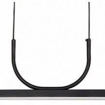 Подвесная светодиодная люстра Favourite Raya 4096-2P