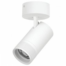 Спот Lightstar Canno Pro C4406SO
