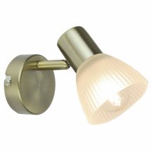 Настенно-потолочный светильник Arte Lamp Parry A5062AP-1AB
