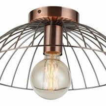 Потолочный светильник Lussole Loft Brooks LSP-8249