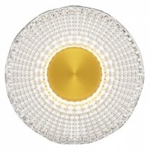 Накладной светильник Maytoni Sparkle MOD343WL-L5BS3K2