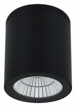 Потолочный светильник уличный Arte Lamp Torcular A1813PF-1BK