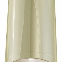 Потолочный светильник Maytoni Alfa C010CL-01G